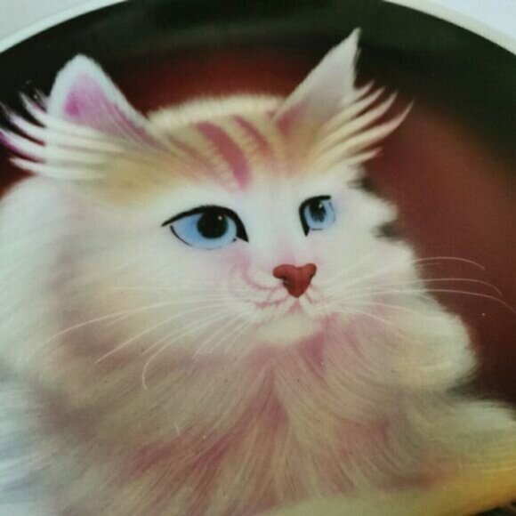 Serious Cat Portrait Plate, Collectible China Plate Persian Kitten Glamor Shot - Picture 2 of 6